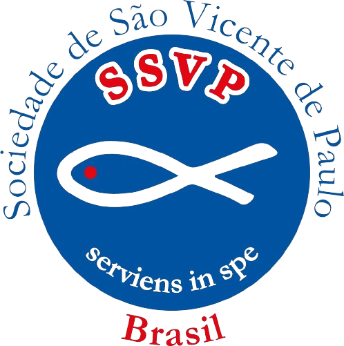 Logo Lar São Vicent MT